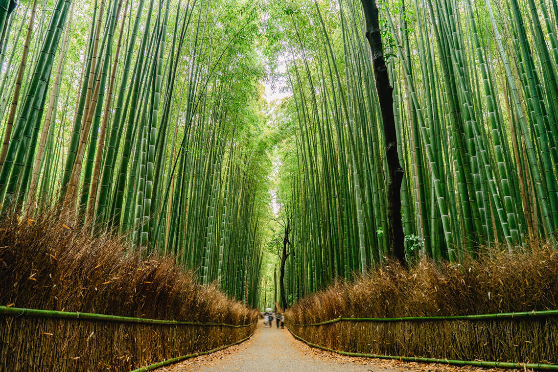 Japan Classic Route 11 Days
