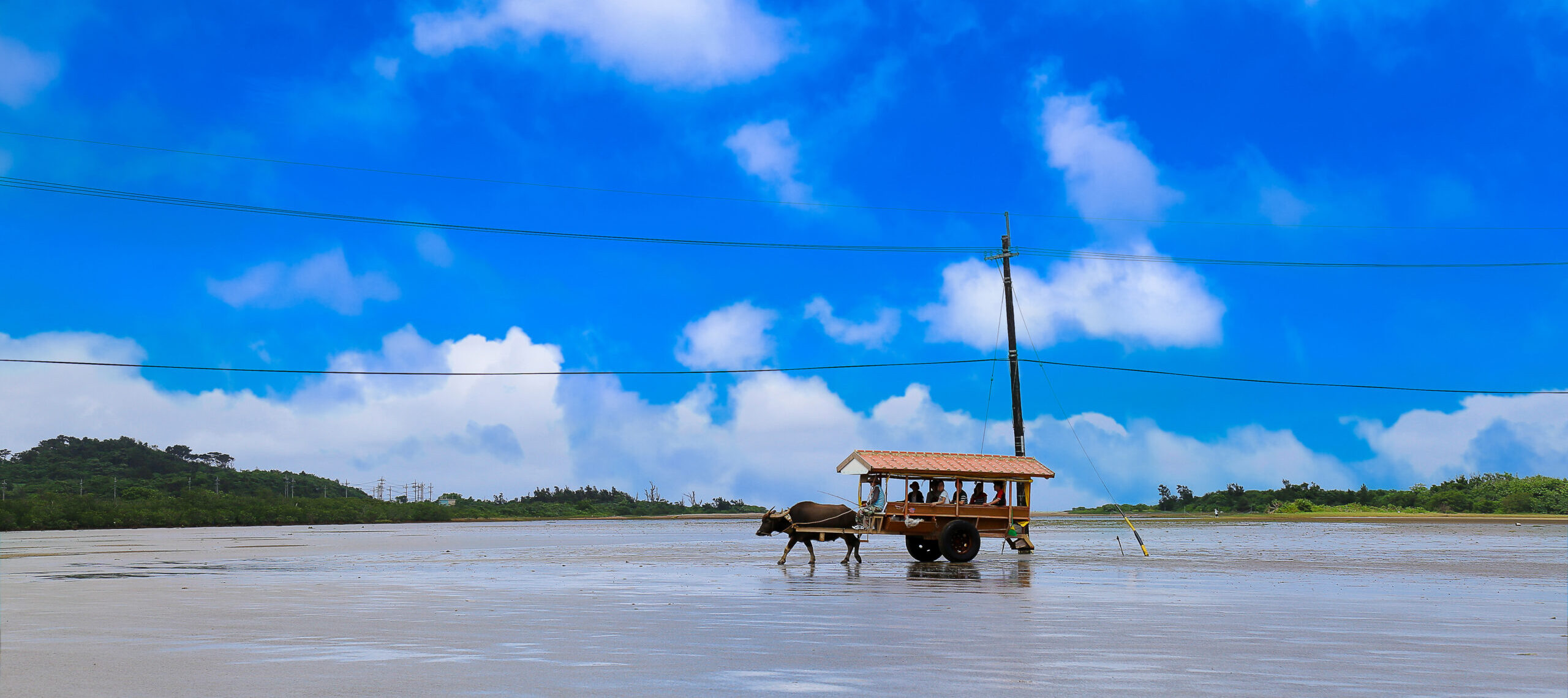 Okinawa’s Island Sanctuaries
