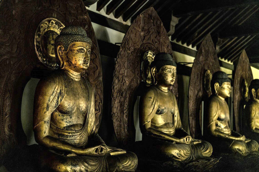 Exploring Buddhist Statues in Nara 1 day