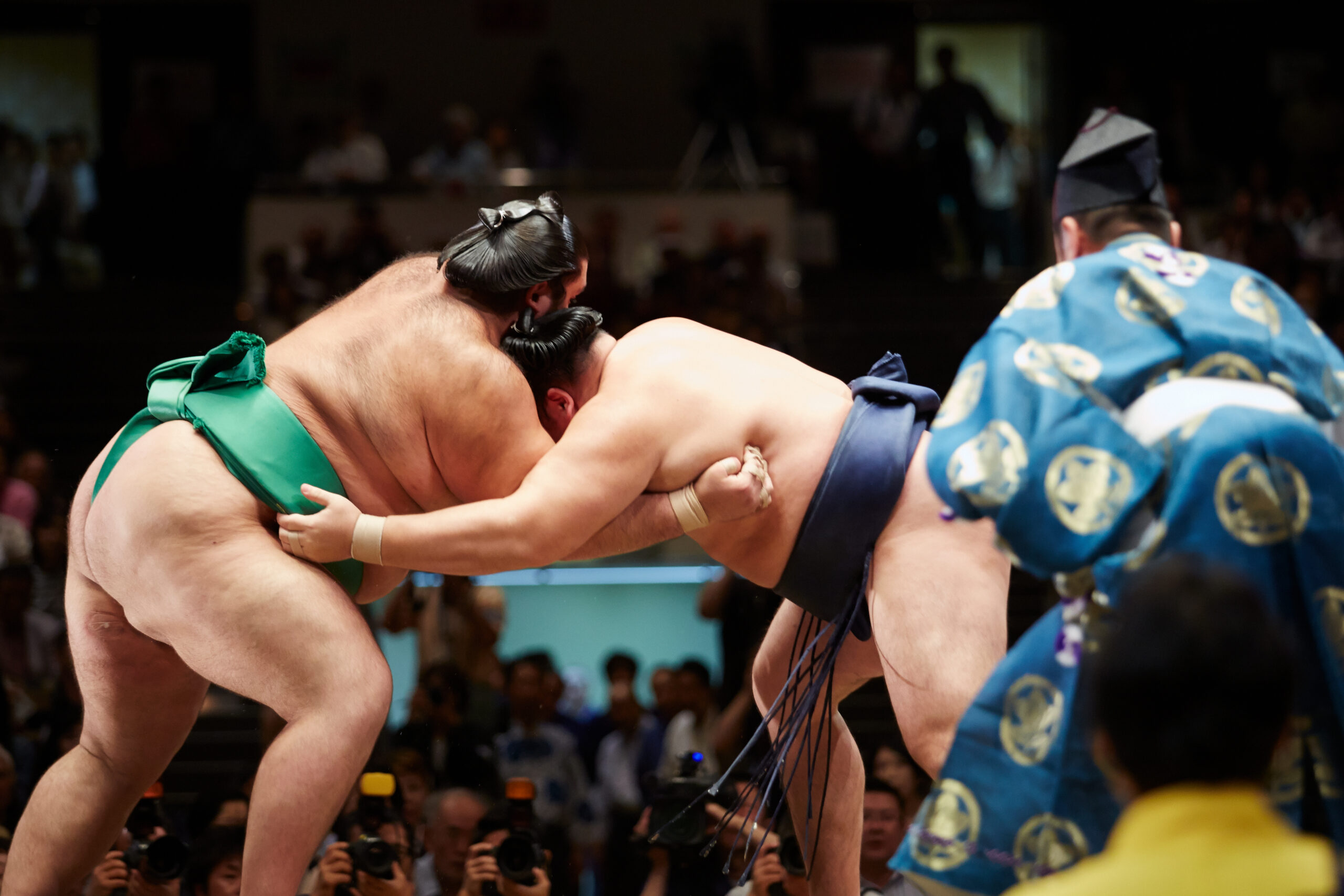 Grand Sumo Tournament Tour 1 day